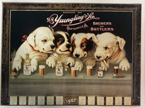 Yuengling 1907 - yuengling,