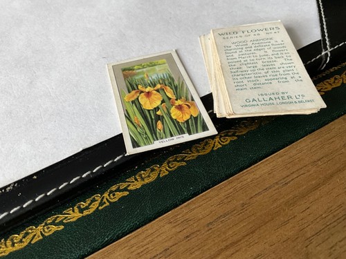 Gallaher cigarette cards wild - gallaher,