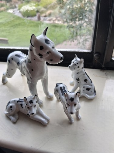 Porcelain harlequin great - porcelain,