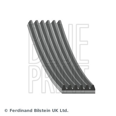 Ribbed belt blue print - belt,