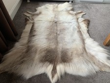 Reindeer Hide, Beautiful