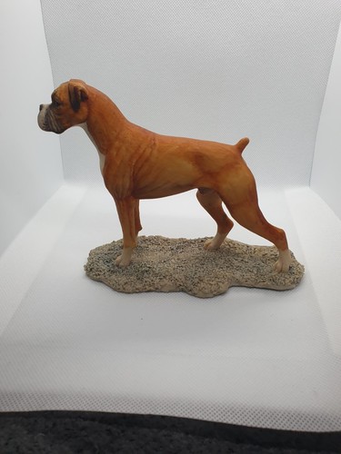 Signed boxer dog - boxer,