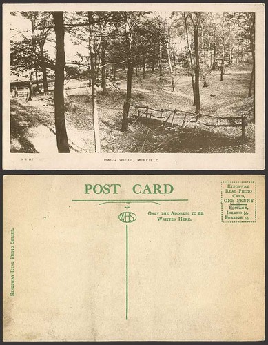 Mirfield hagg woods - -,