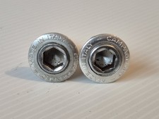 Pair of Campagnolo Crank Bolts