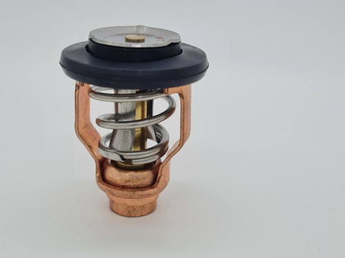 Thermostat for yamaha - thermostat,