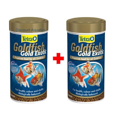 Tetra goldfish gold exotic - goldfish,