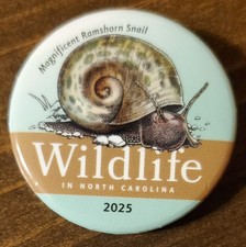 2025 Wildlife In North Carolina Ramshorn Snail Pinback Button