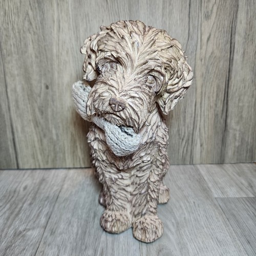 Next charlie the cockapoo - charlie,