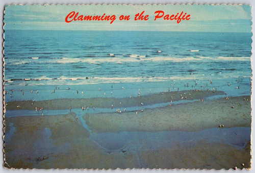 Clam diggers the - clam,