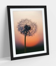 DANDELION PORTRAIT -ART FRAMED