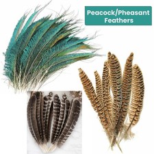 10/20PCS Pheasant Tail