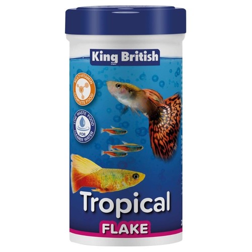 King british tropical aquarium - british,