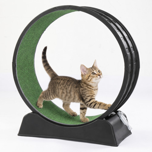 Mondeer cat exercise - xl,