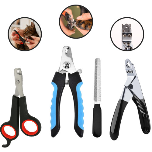 Claw grooming pet - grooming,