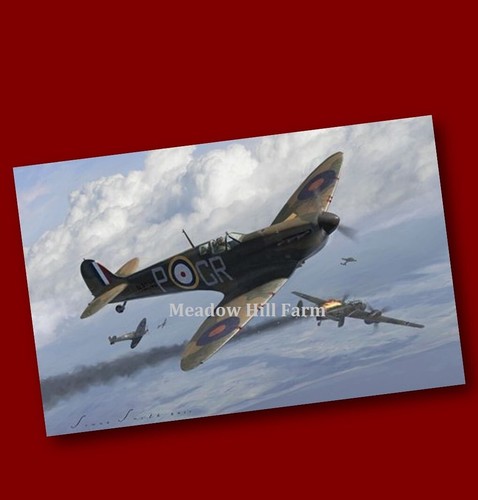 Fridge magnet raf - magnet, spitfire
