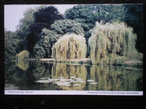 Postcard berkshire windsor - postcard,