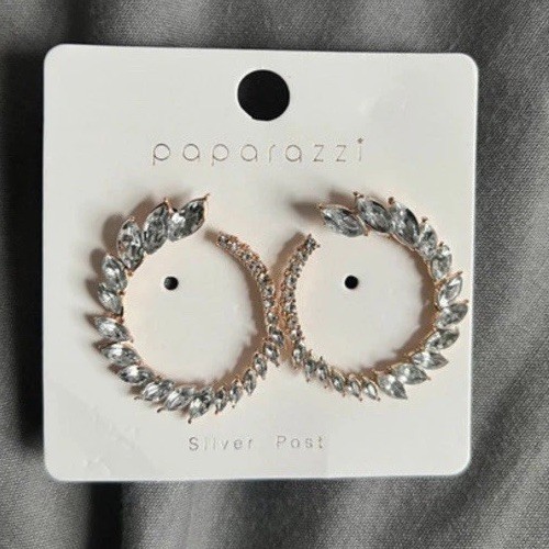 Paparazzi earrings - paparazzi,