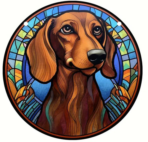 Dachshund sausage hound dog - dachshund,