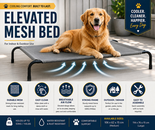 Raised dog bed elevated pet - raised,