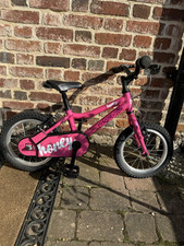 Ridgeback honey Pink 14”