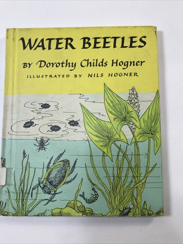 Water beetles dorothy childs - water,