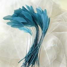 Stripped Coque Feather