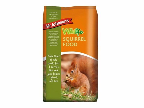 Johnsons wildlife squirrel - wildlife,