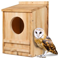 Barn Owl House, Owl Nesting