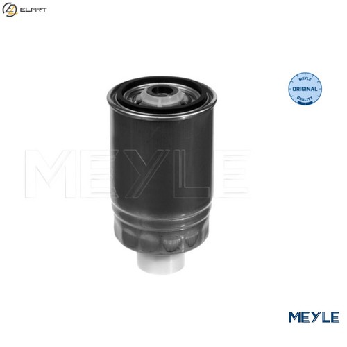 Fuel filter 100 - 100, 0005