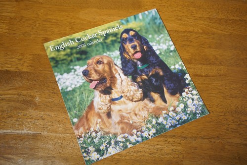 English cocker spaniel wall - cocker,