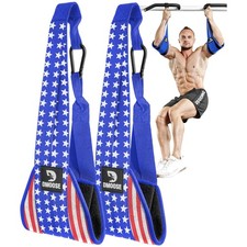 Ab Swing Straps with Steel