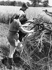 Members of the Women Land Army