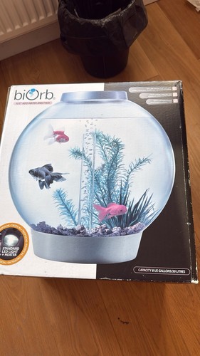 Biorb fish tank - fish,