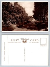 Staffordshire - Cannock Chase