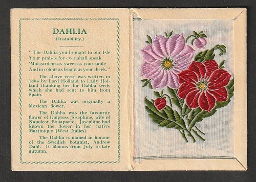 Rare kensitas wix medium silk - wix,