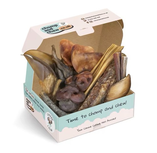 Chomp chew puppy chomper box - chew,