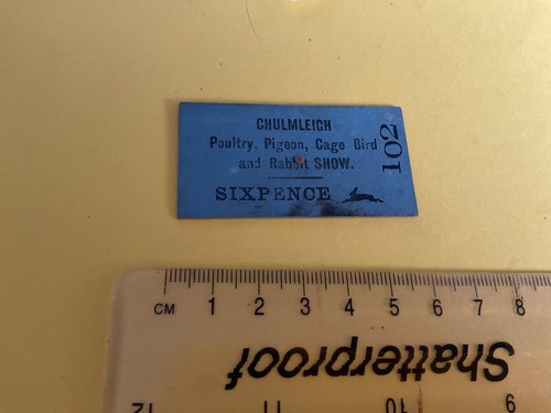 Chulmleigh poultry pigeon - chulmleigh,