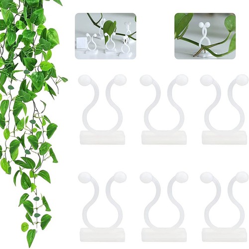 50x plant climbing wall - climbing,