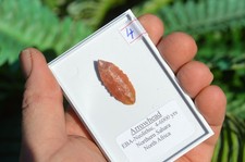 HIGH GRADE PREHISTORIC/