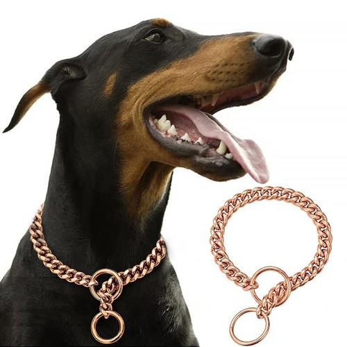 Stainless steel puppy - steel, pet