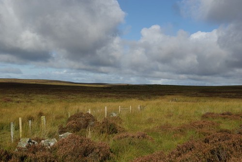 Photo fence drystane - &,