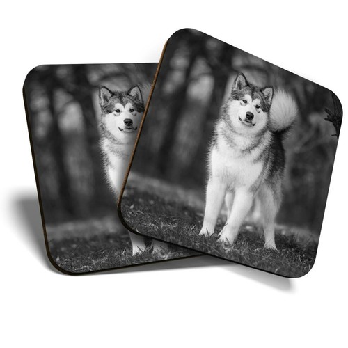 Coasters alaskan - (bw),