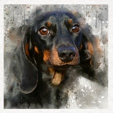Dog dachshund fabric craft - -,