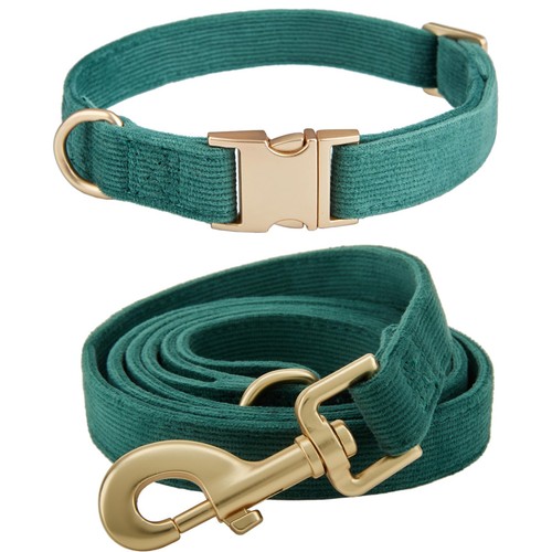 Yudote dog collar and - lead, set