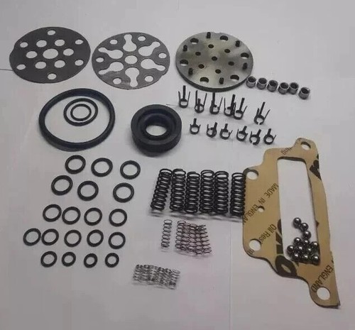 Hydraulic pump repair kit fits - kit,