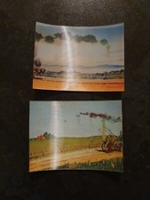 2 CARDS - Famous Puffers 3D