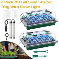 Holes seed trays with - seed,