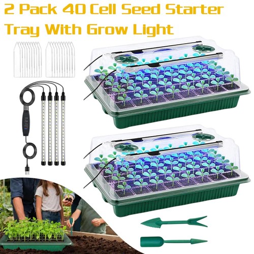 Holes seed trays with - holes,