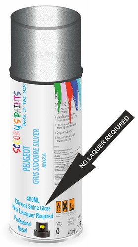 Aerosol spray paint - spray,