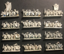 12 strips Rare Citadel Metal